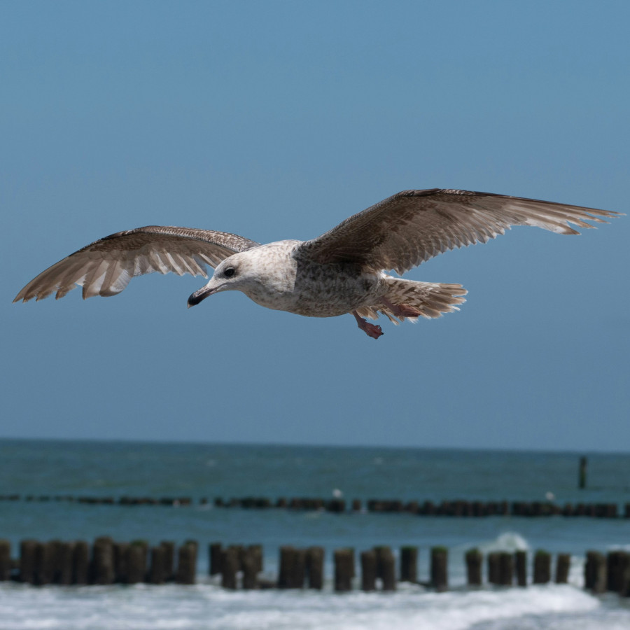 - file://9cvpxcsltroop2aa